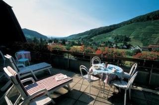 Hotel Tobererhof Glottertal Extérieur photo